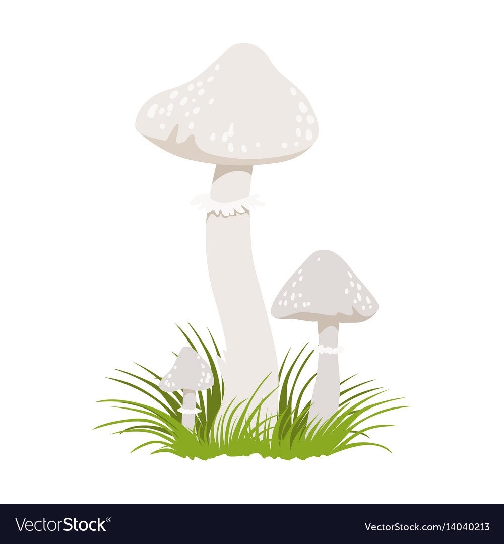 Мультяшный поганка