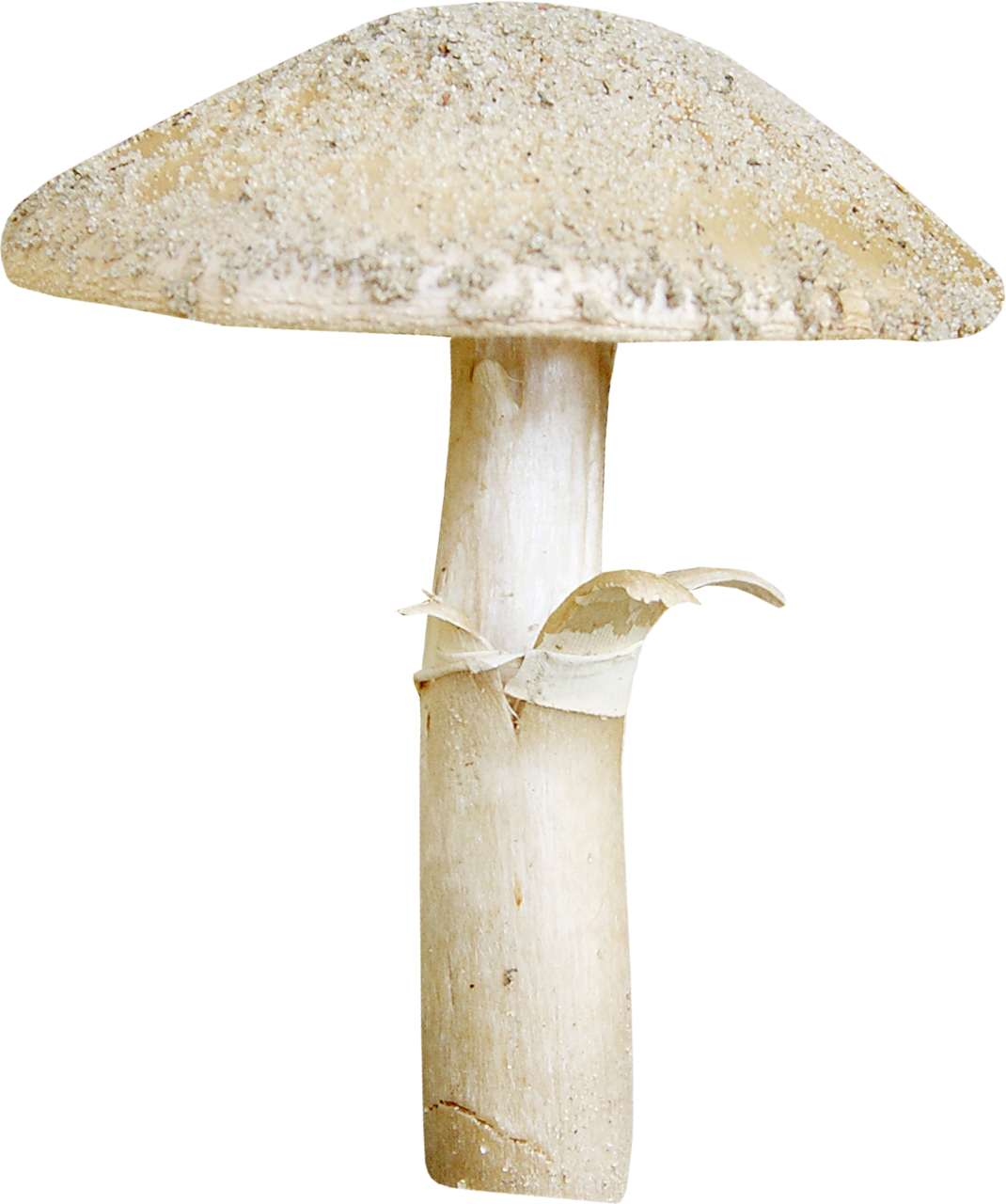 Бледная поганка