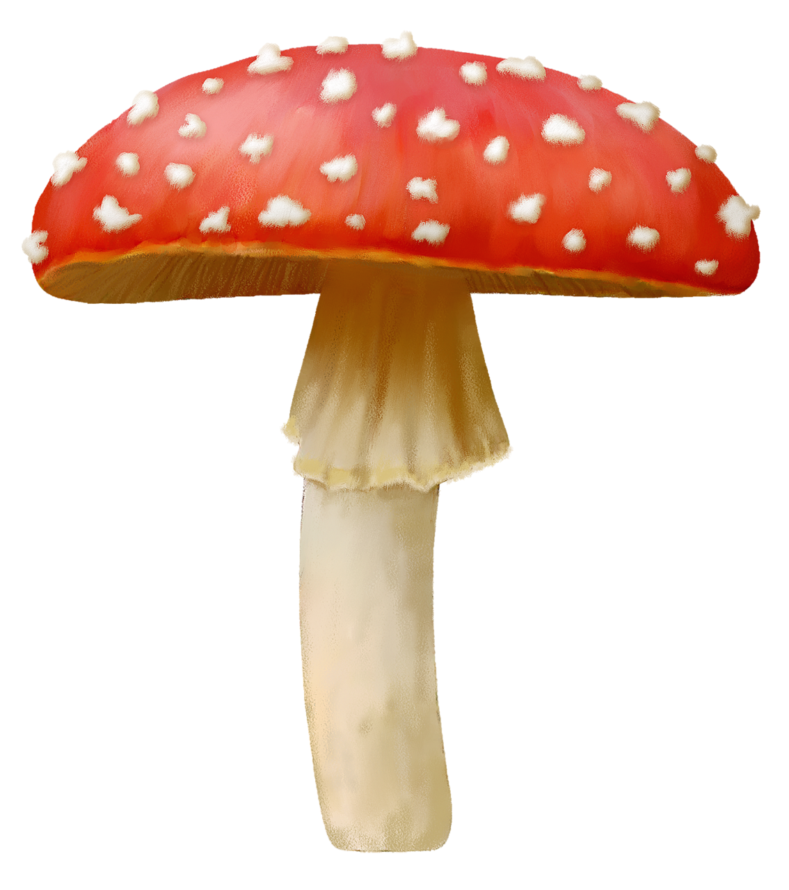 Мухомор красный для детей