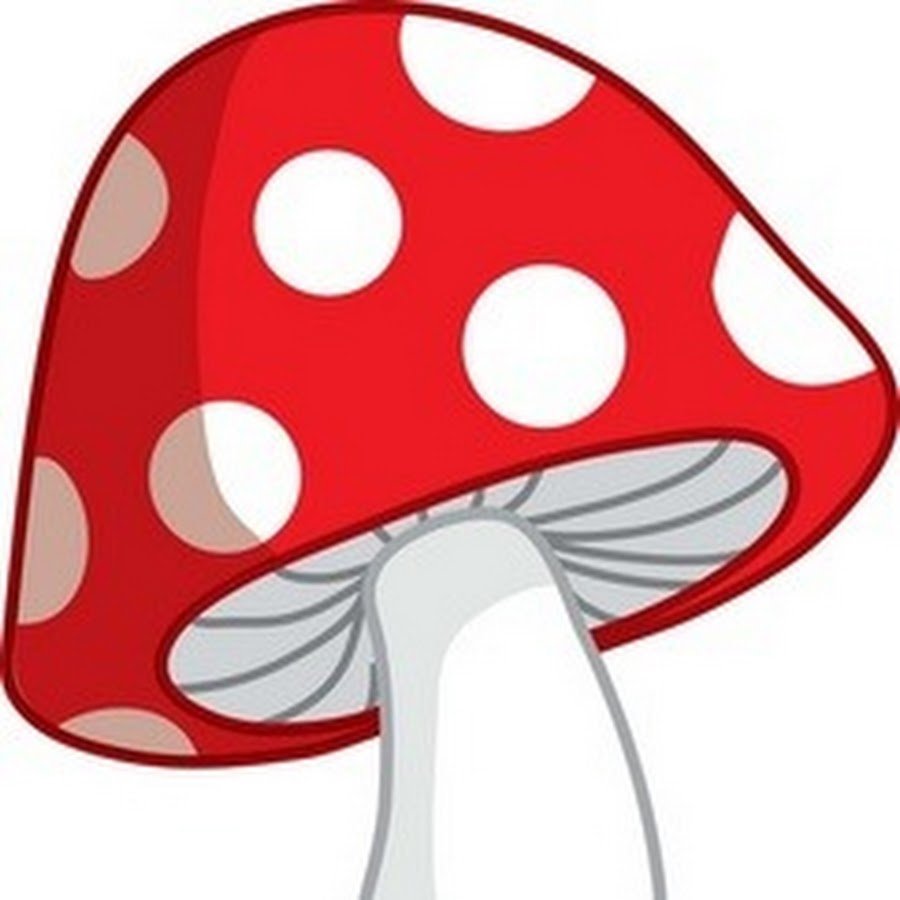 Amanita muscaria священный гриб