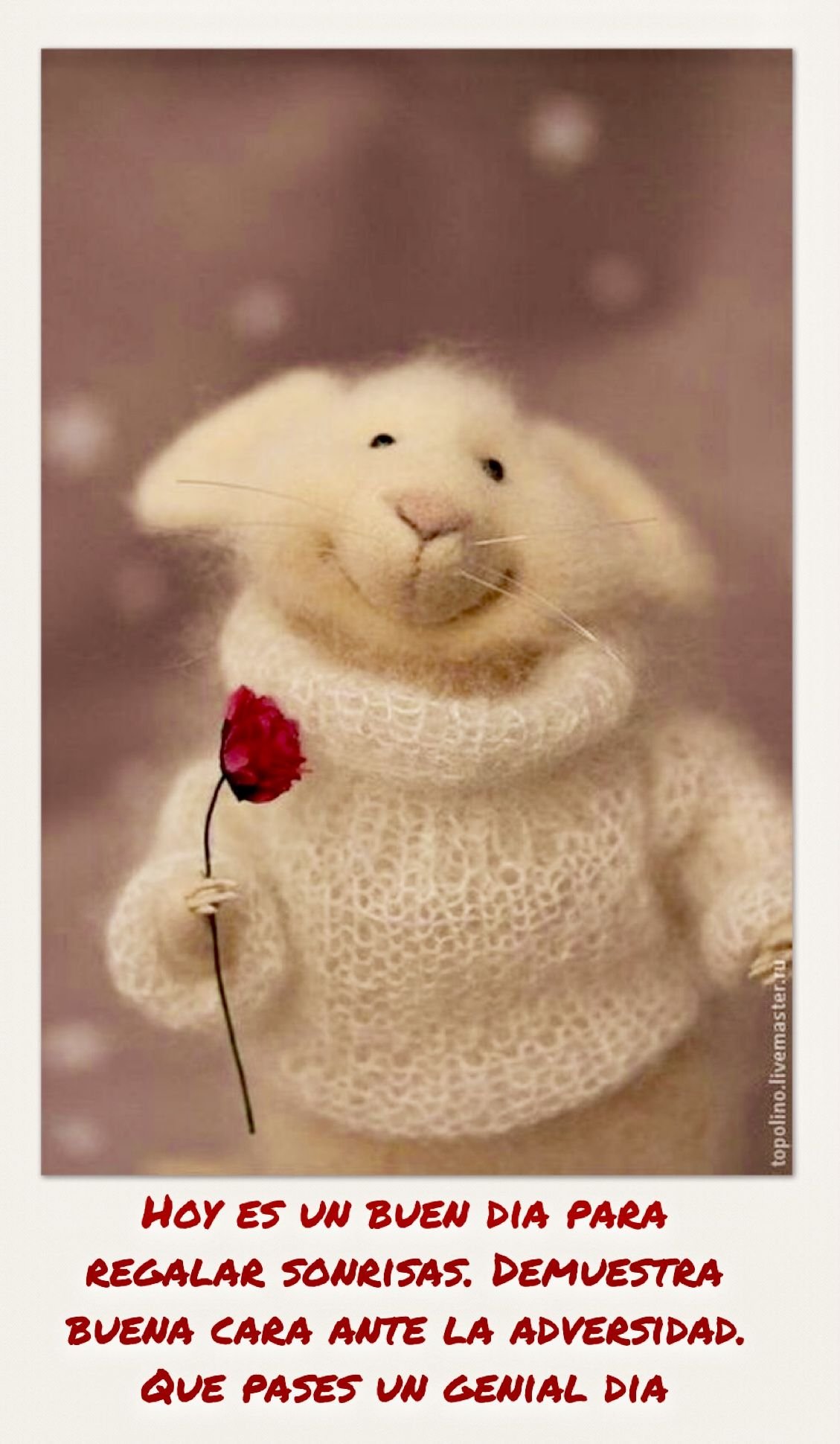 Теплые слова