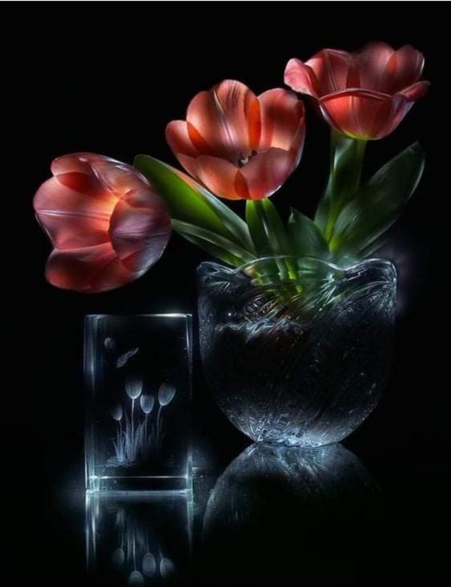 Световая кисть натюрморт