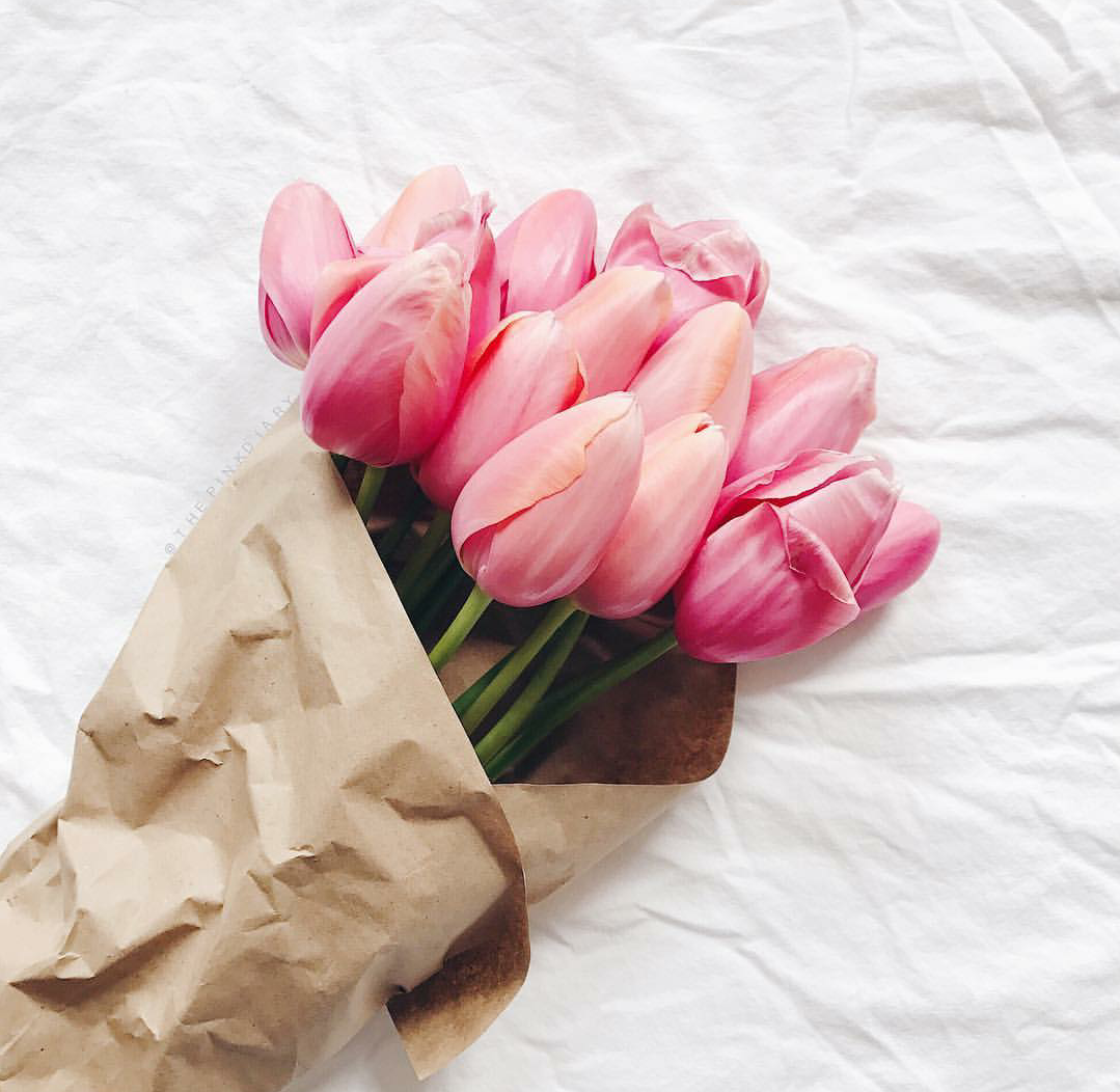 Тюльпаны Пинтерест