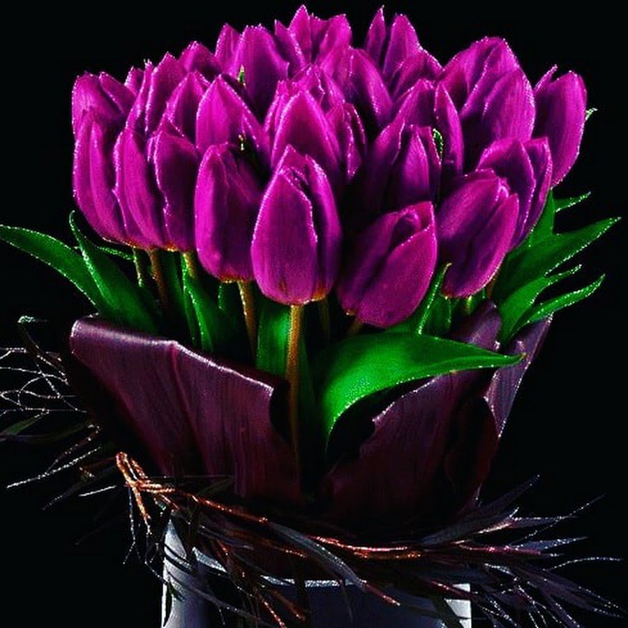 Сиреневые тюльпаны букет