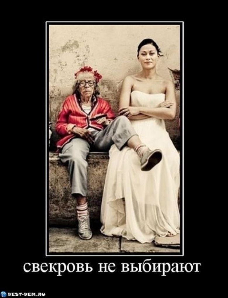Свекровь и невестка приколы