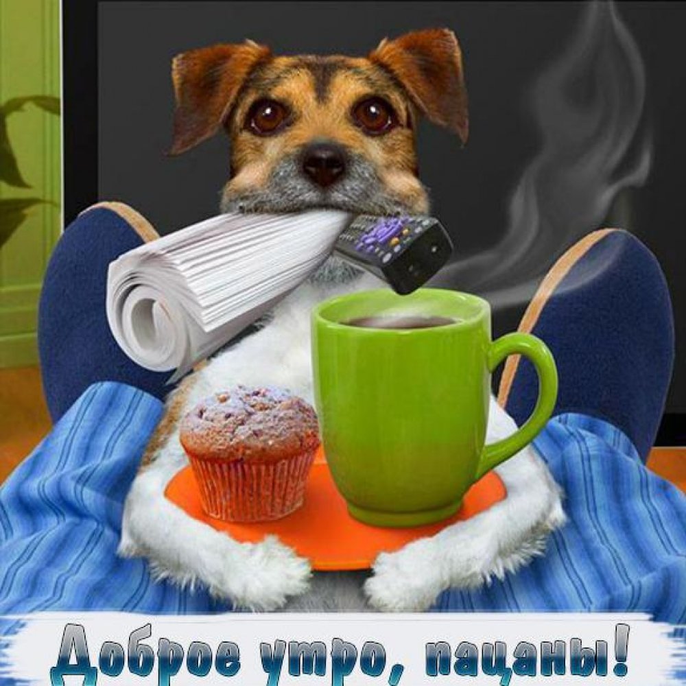 Доброе утро Кумушка рилсы