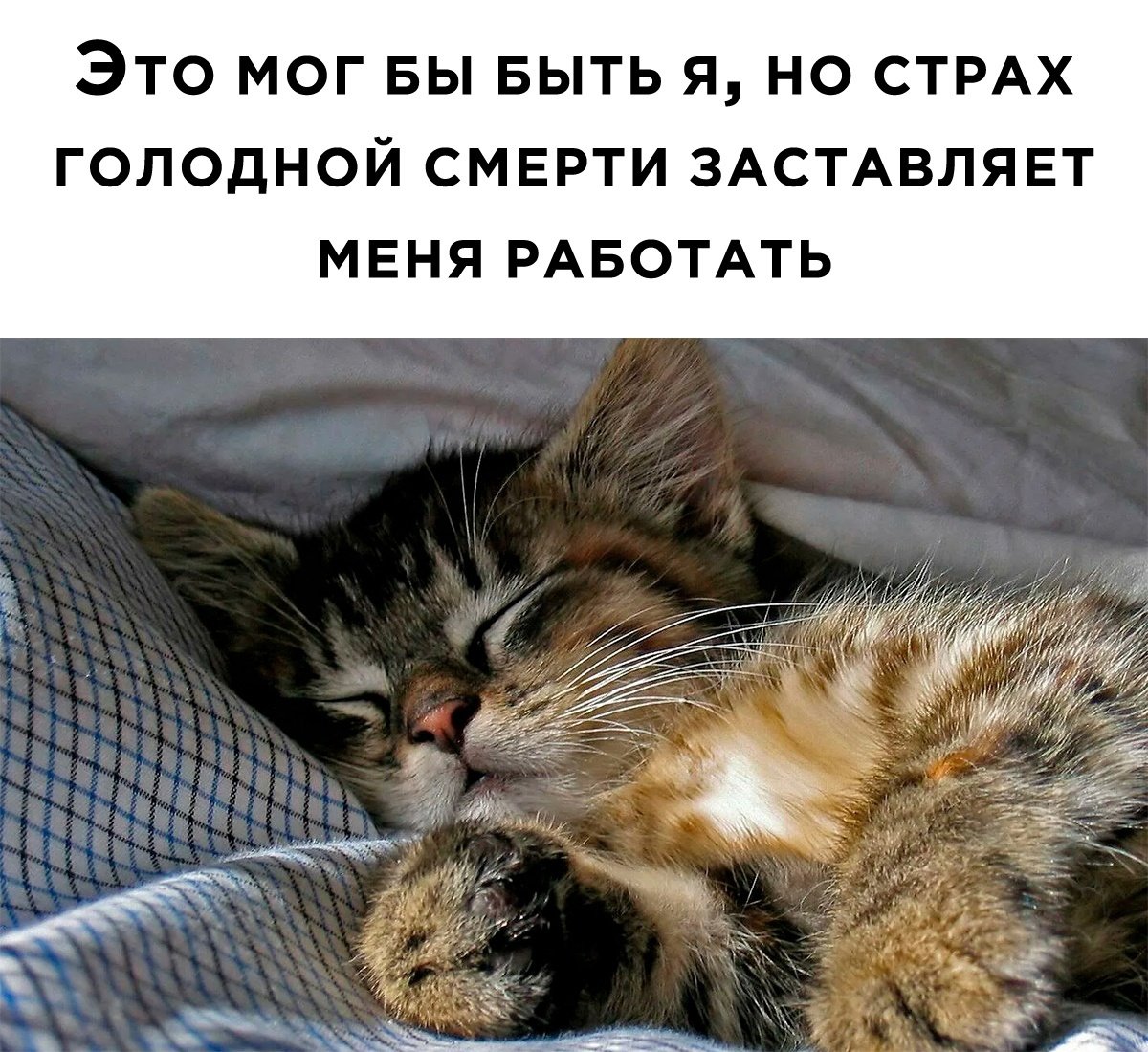 С добрым утром кума