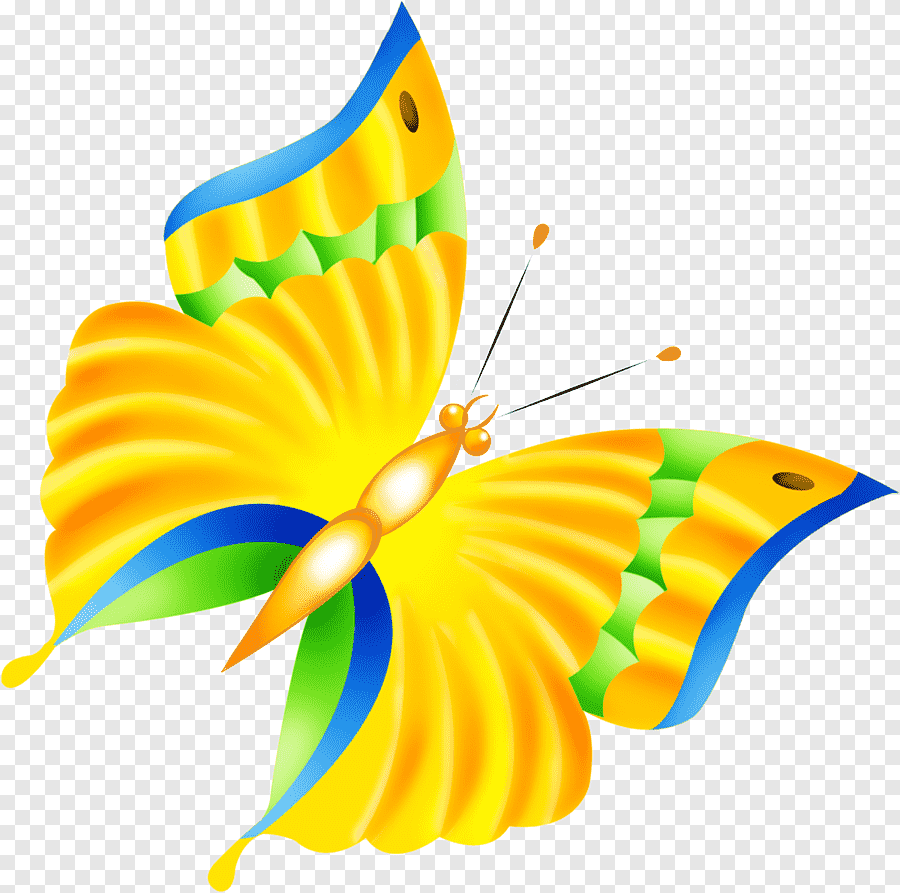 Сказочные бабочки на прозрачном фоне