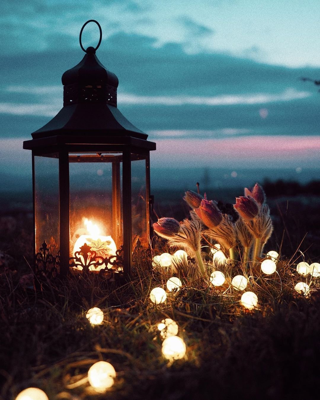 Добрый вечер город