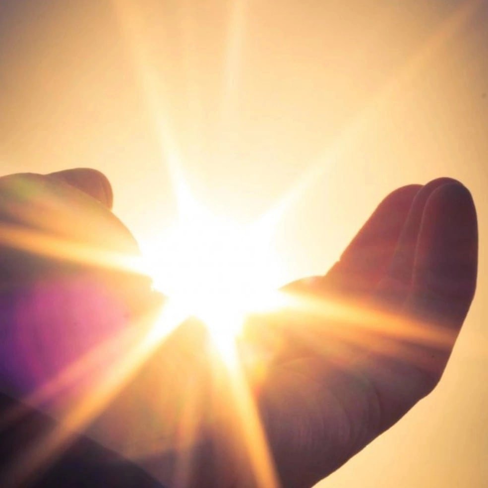 Визитная карточка группы в детском саду