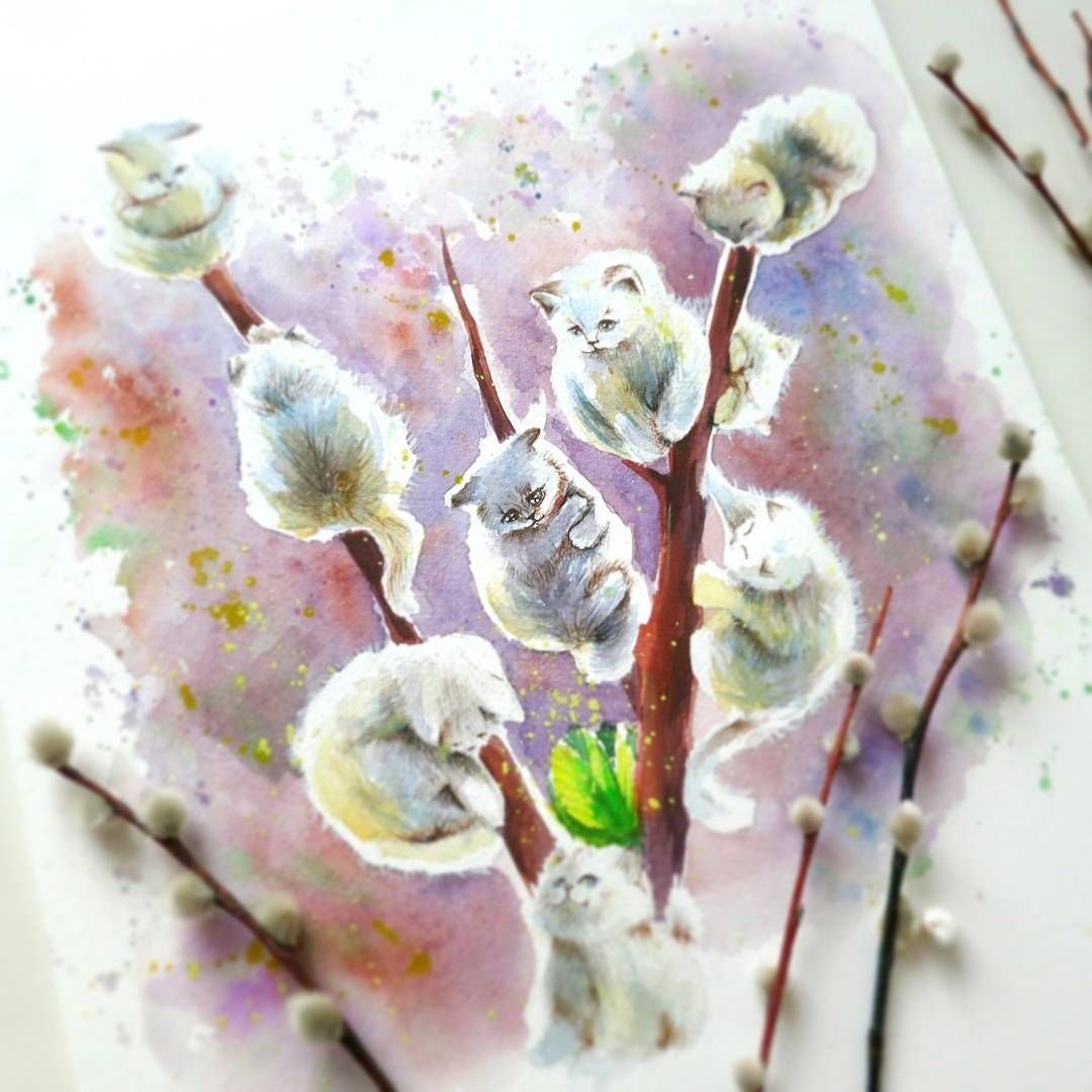 Верба акварель