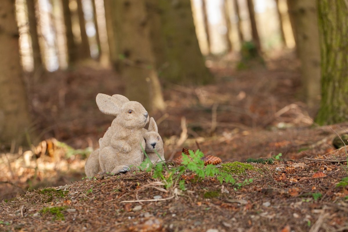 Заяц на пне фото