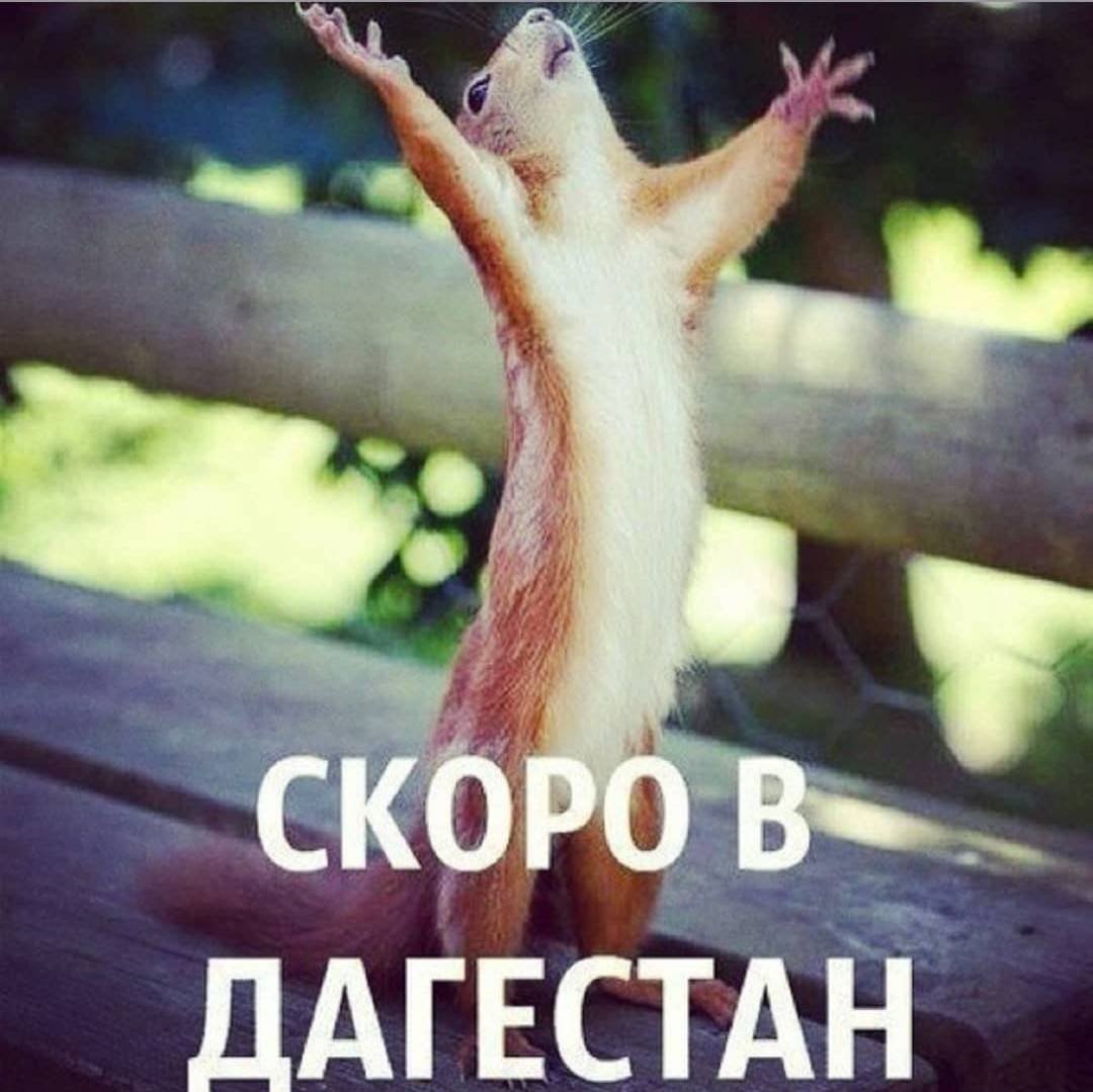 В добрый путь