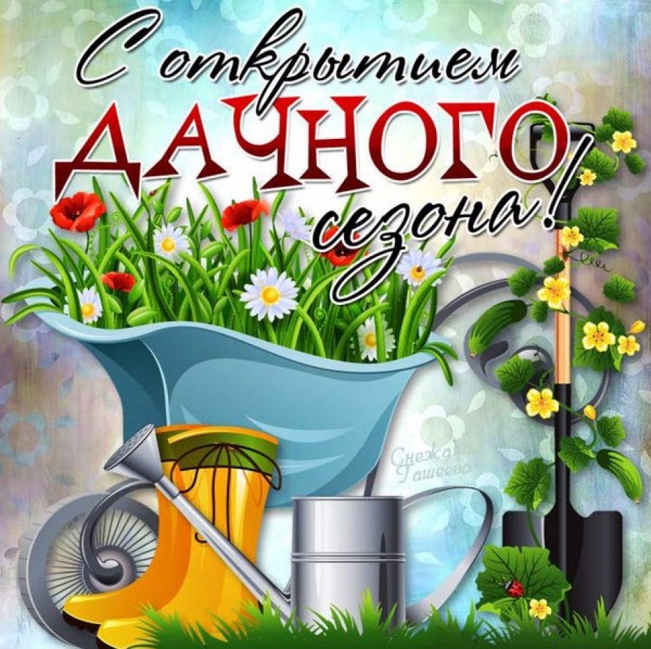 С началом дачного сезона