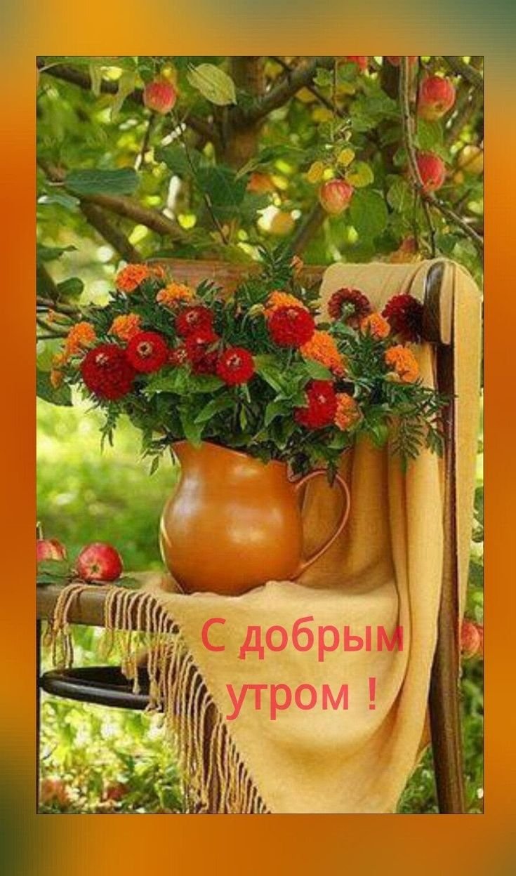 Доброе августовское утро