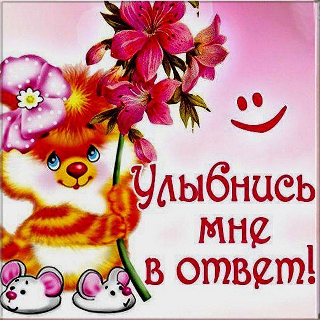 Открытки улыбнись