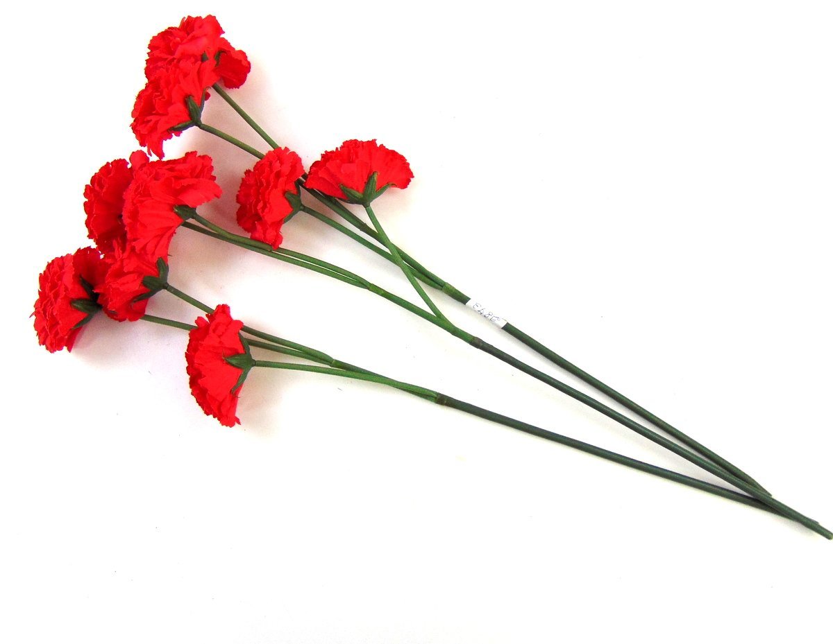 Могильный цветок гвоздика