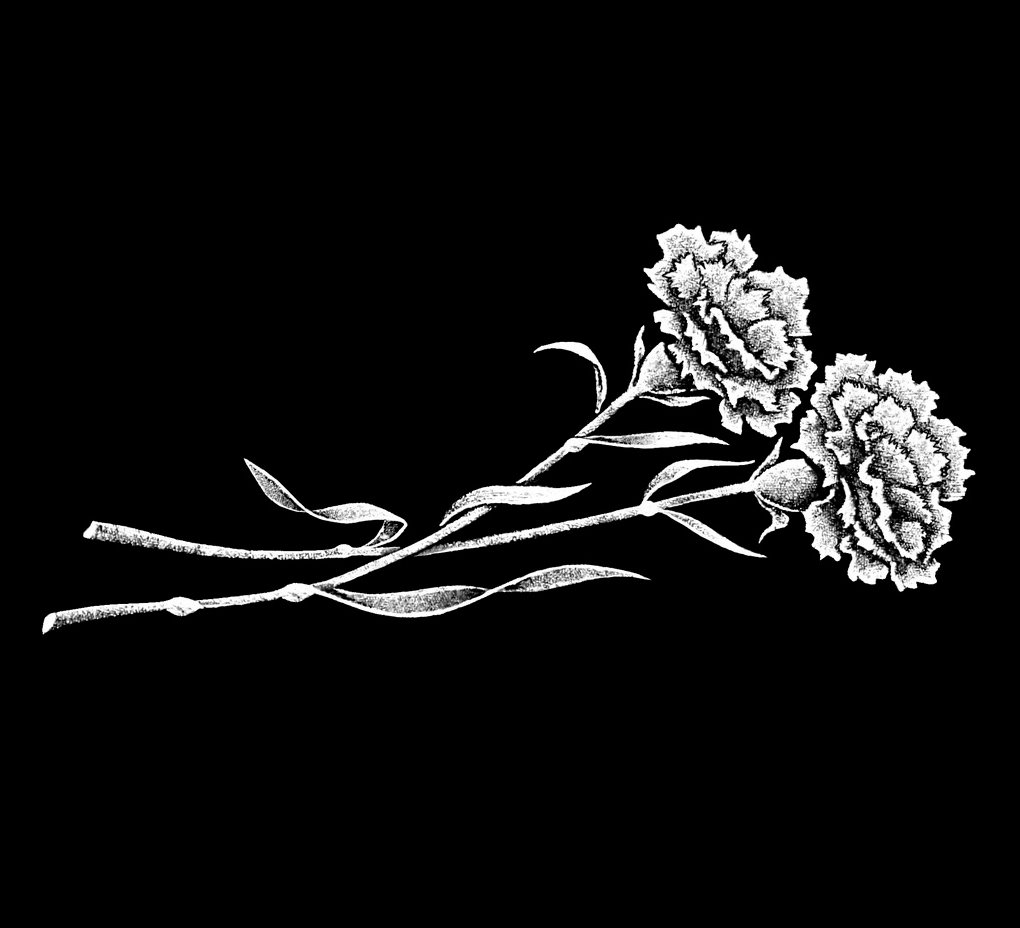 Две гвоздики и свеча