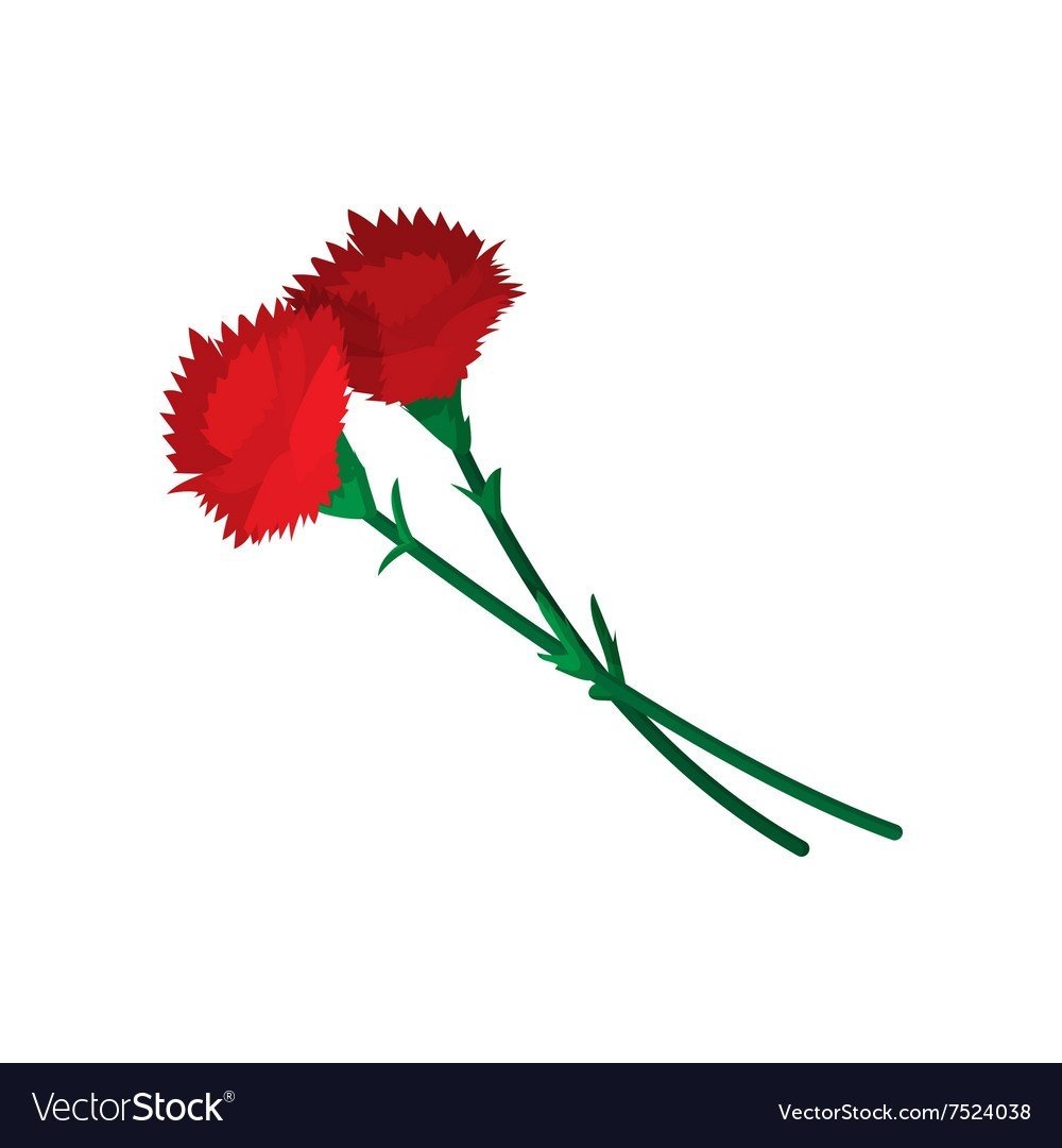 Гвоздика merletto Cherry