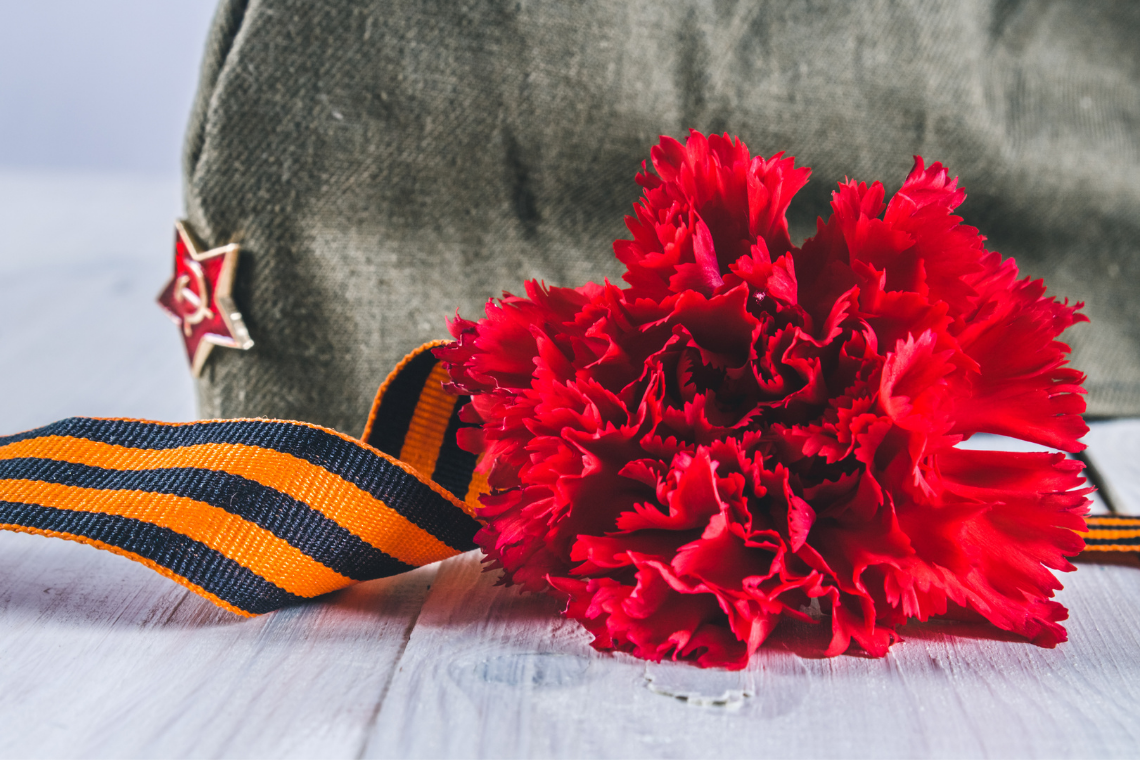 Гвоздики на асфальте