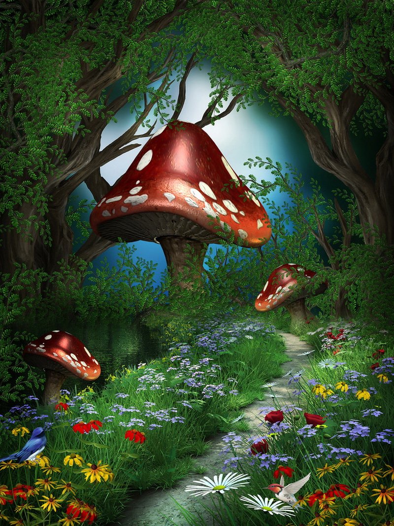 Сказочный лес Алиса в стране чудес