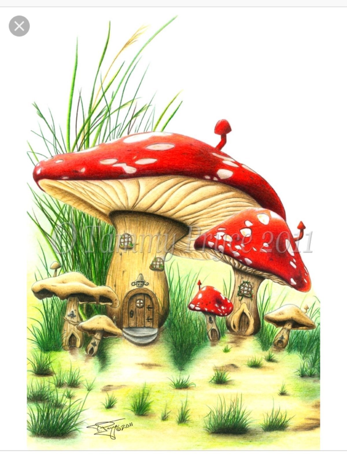 Сказочная природа