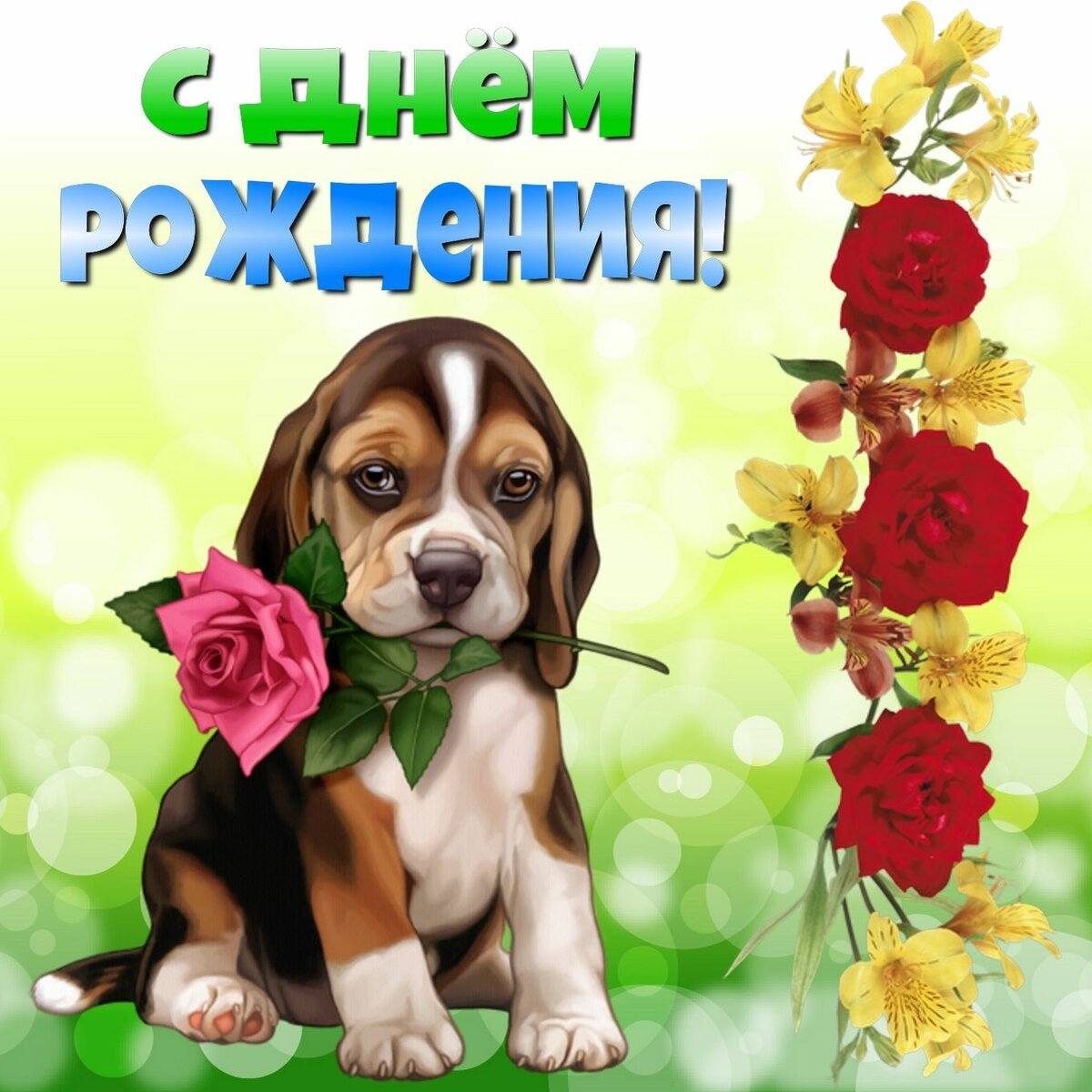 Фото с днем рождения Василиса