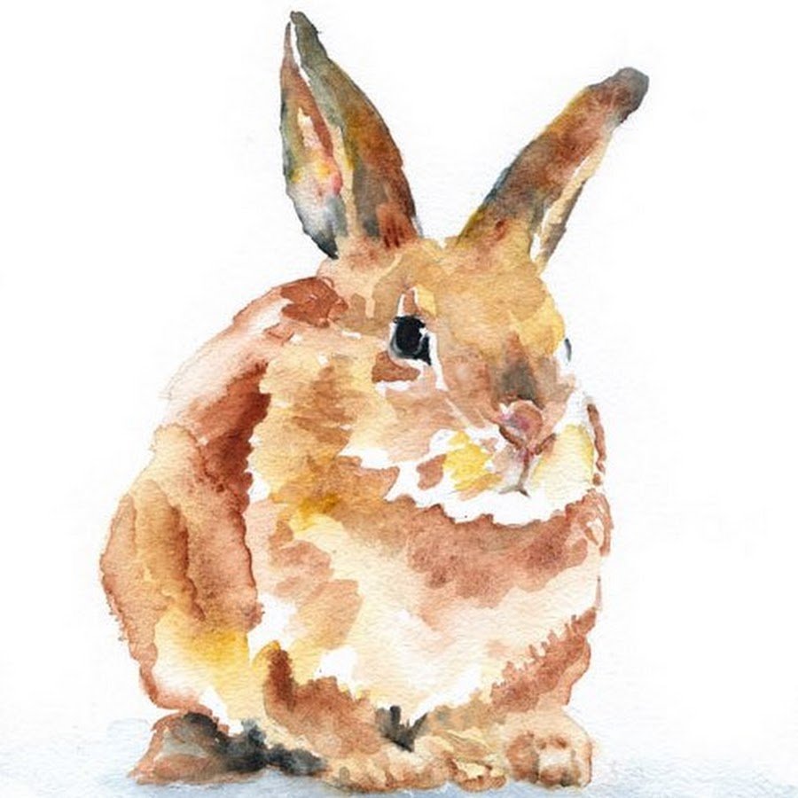 Зайчик акварель