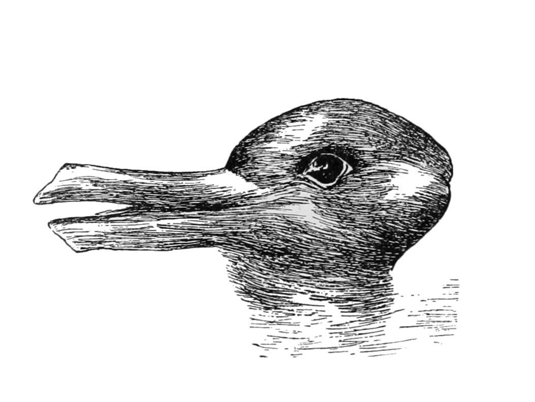 Джозеф Ястров утка кролик