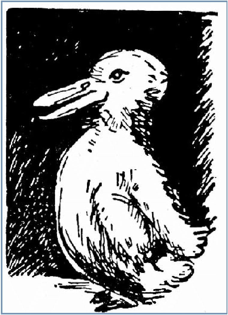 Джозеф Ястров утка кролик