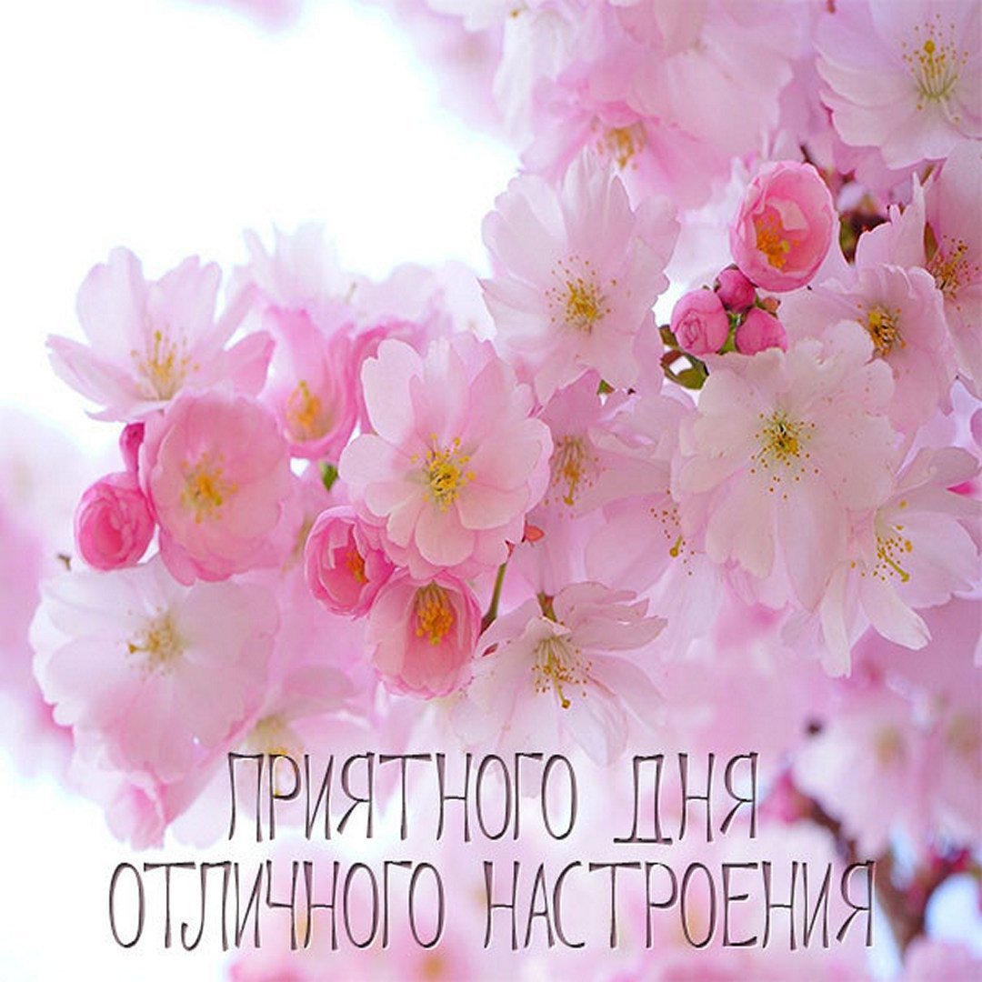 Ясного дня и отличного настроения