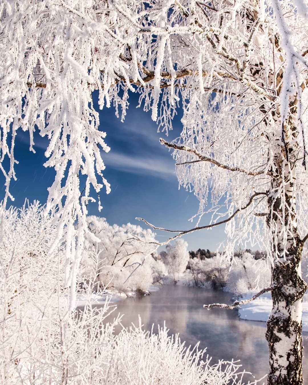 Январь природа