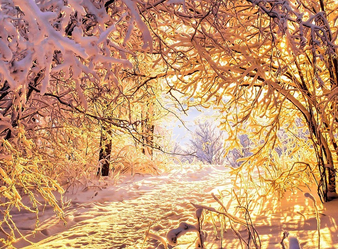 Природа зима