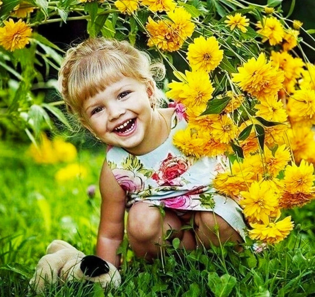 Солнечного радостного дня