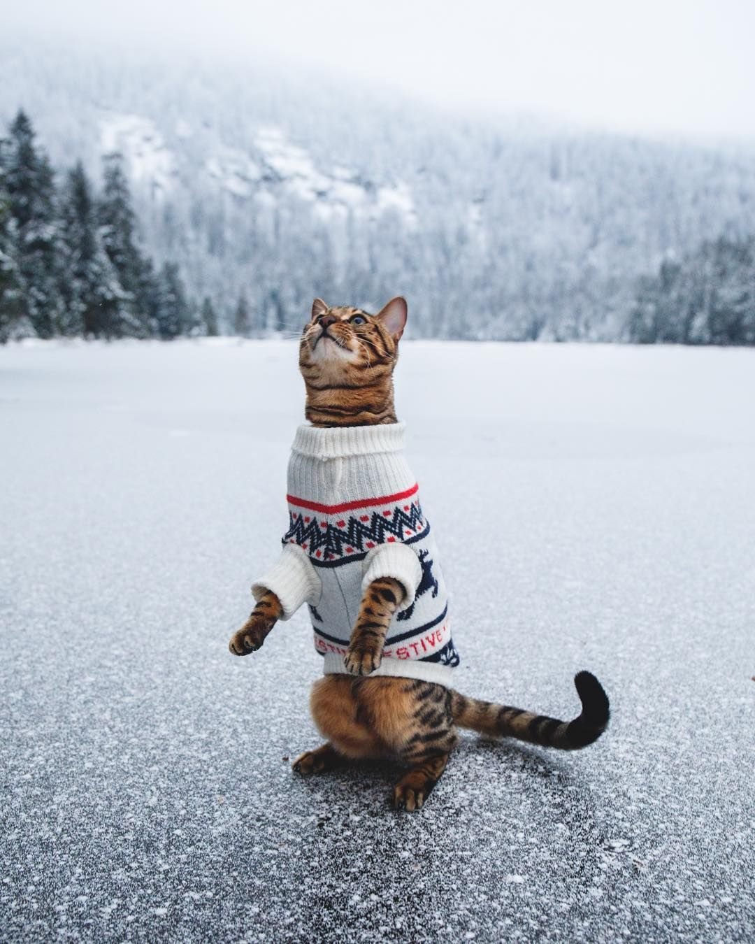 Холодно одевайся теплее