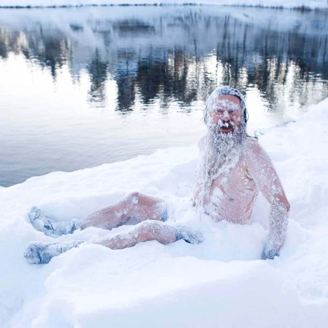 С утрой синий кот