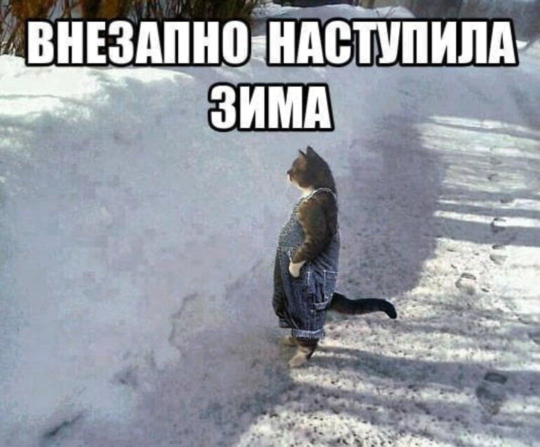 Сильный Мороз