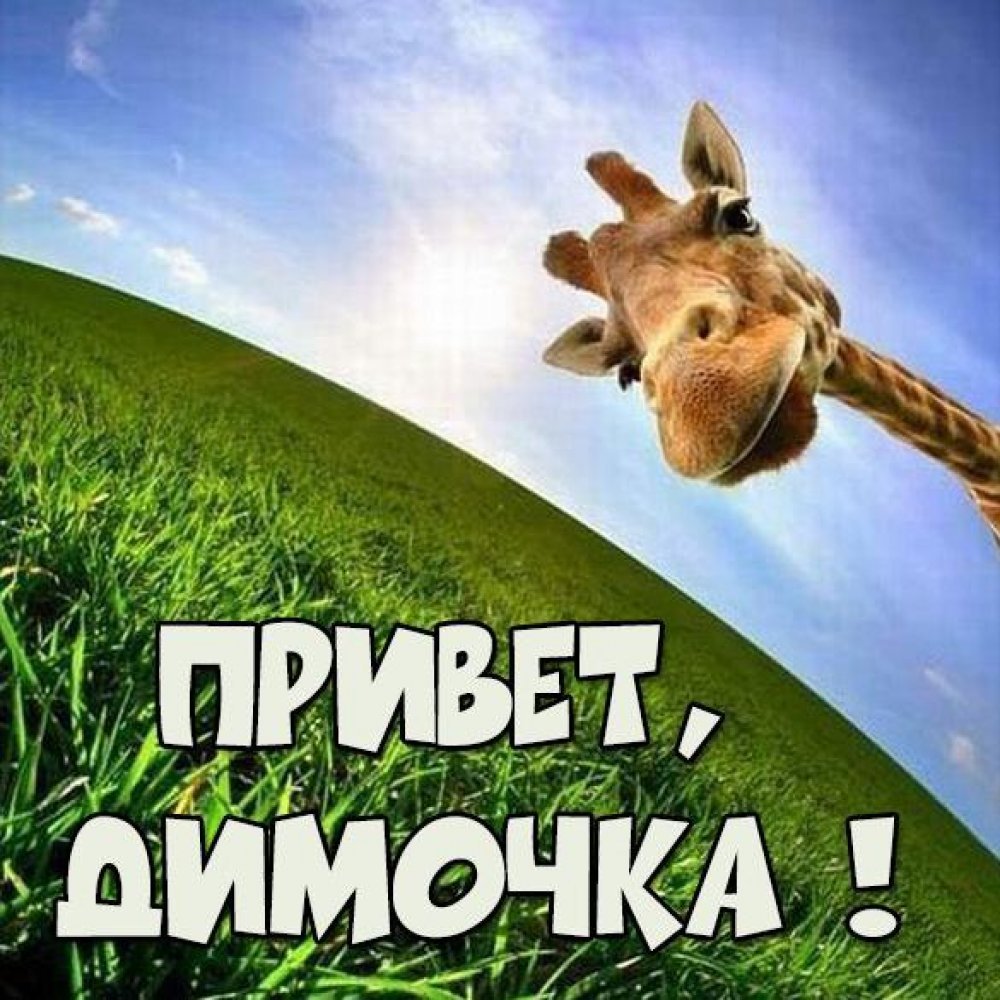 Привет Вера