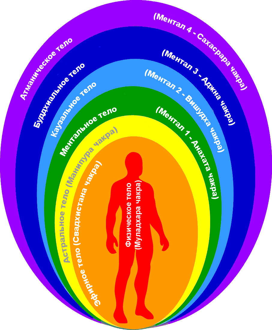 Структура тонких тел человека