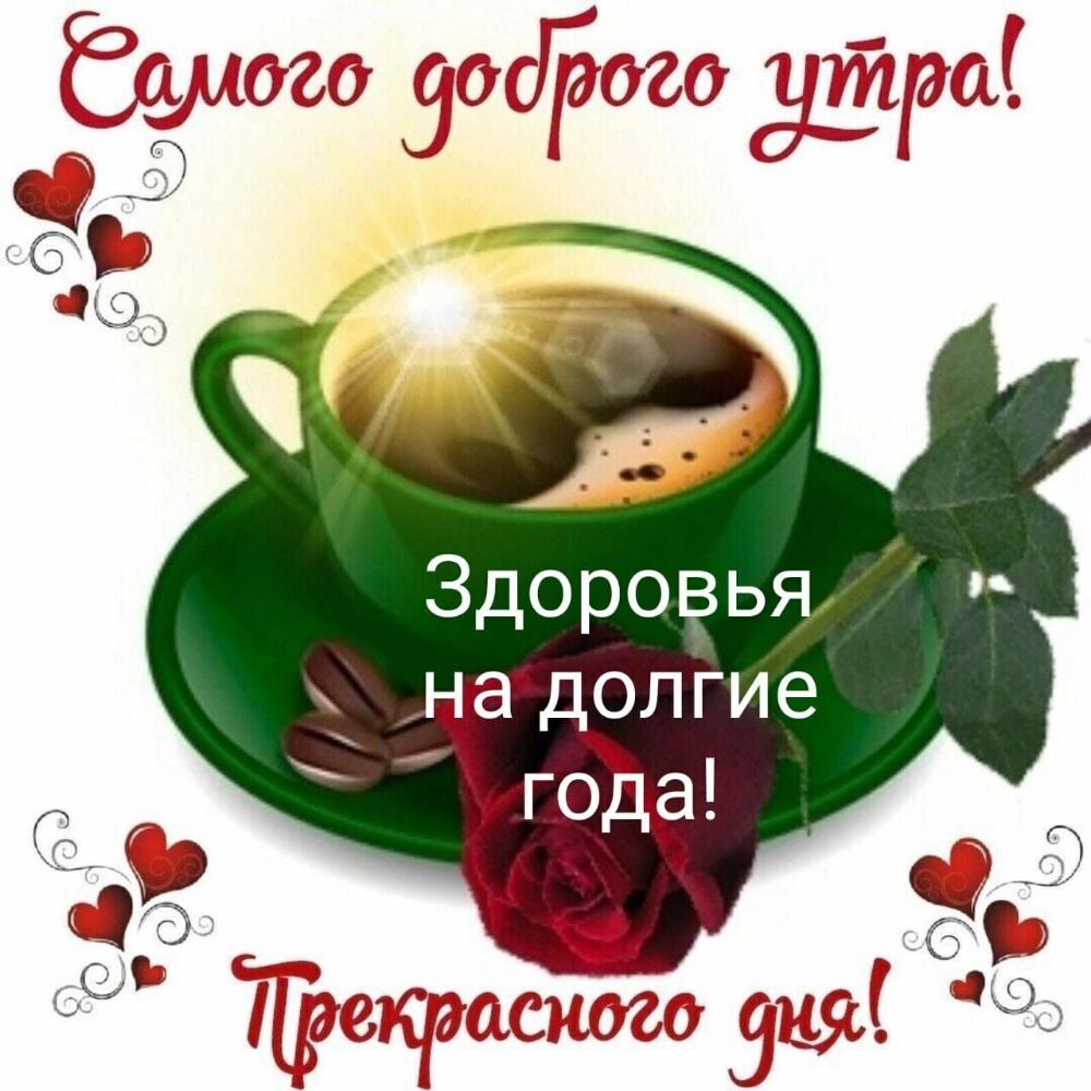 Доброго утра и замечательного дня прикольные картинки