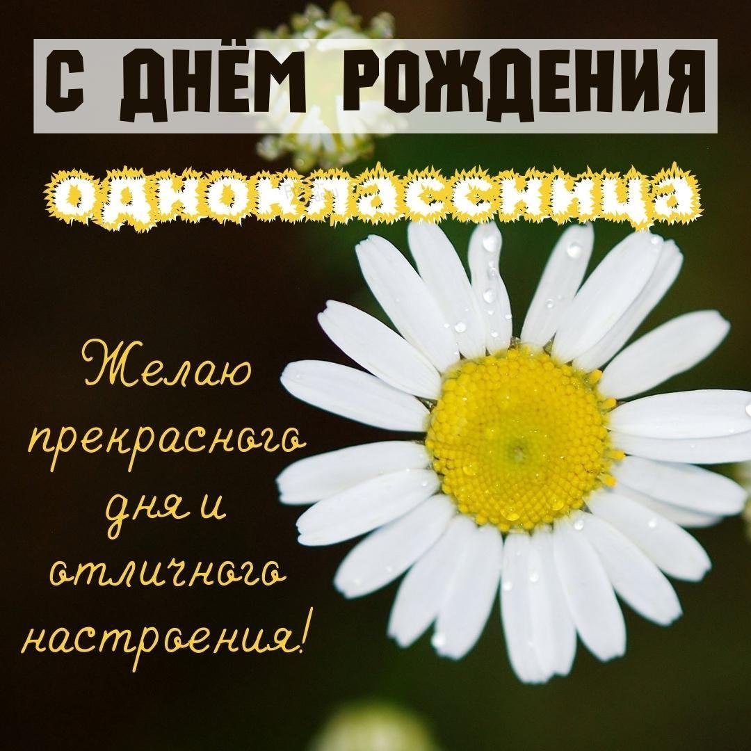 С днём рождения однокласснице