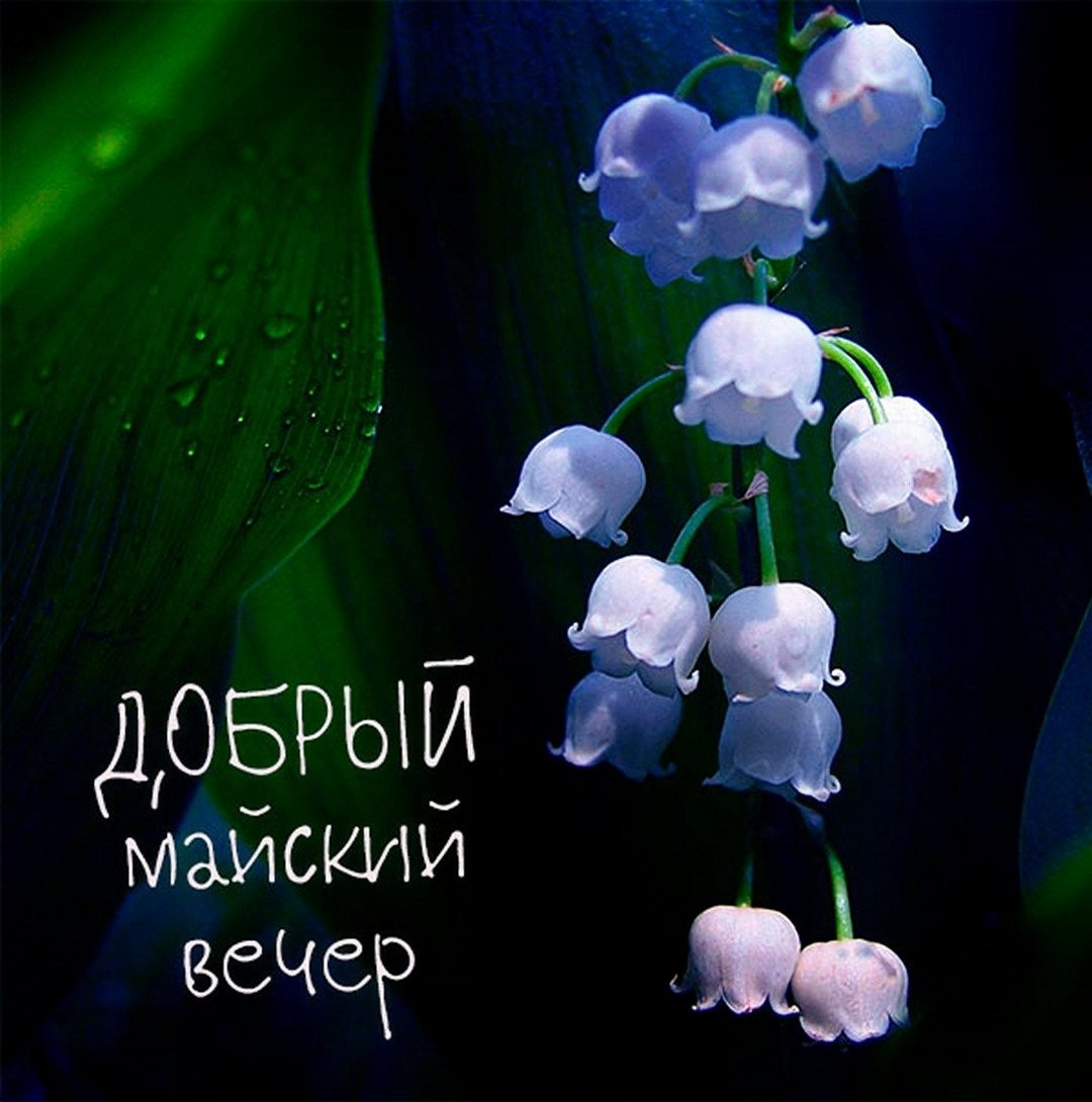 Открытки спокойной ночи