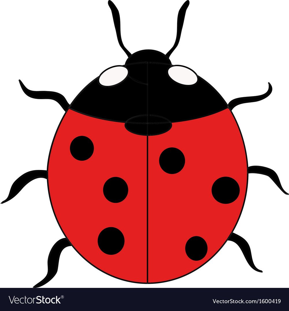 Желтая Божья коровка без точек