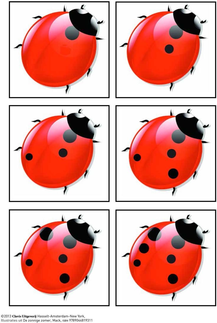 Трафарет Божьей коровки для стен