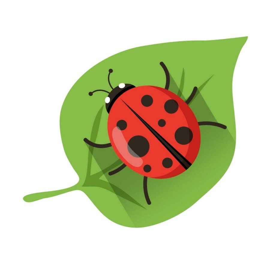 Жук для детей