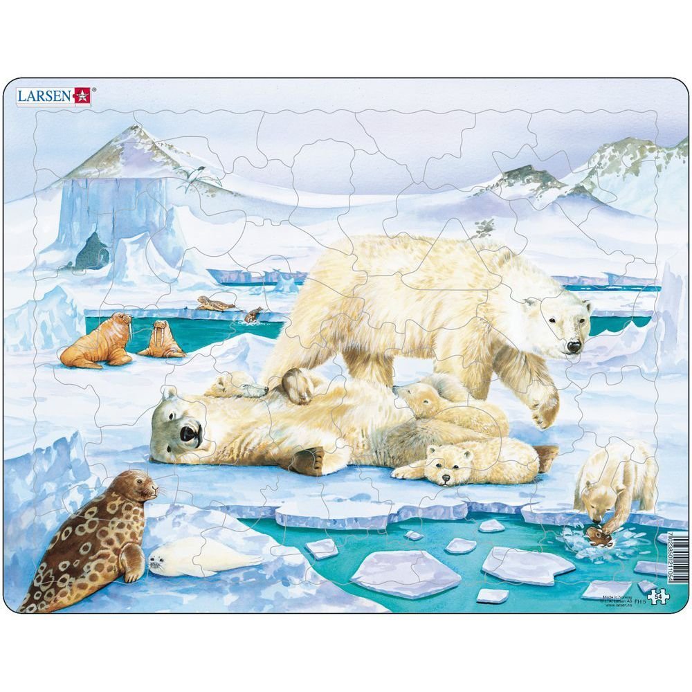 Животные Арктики и Антарктики