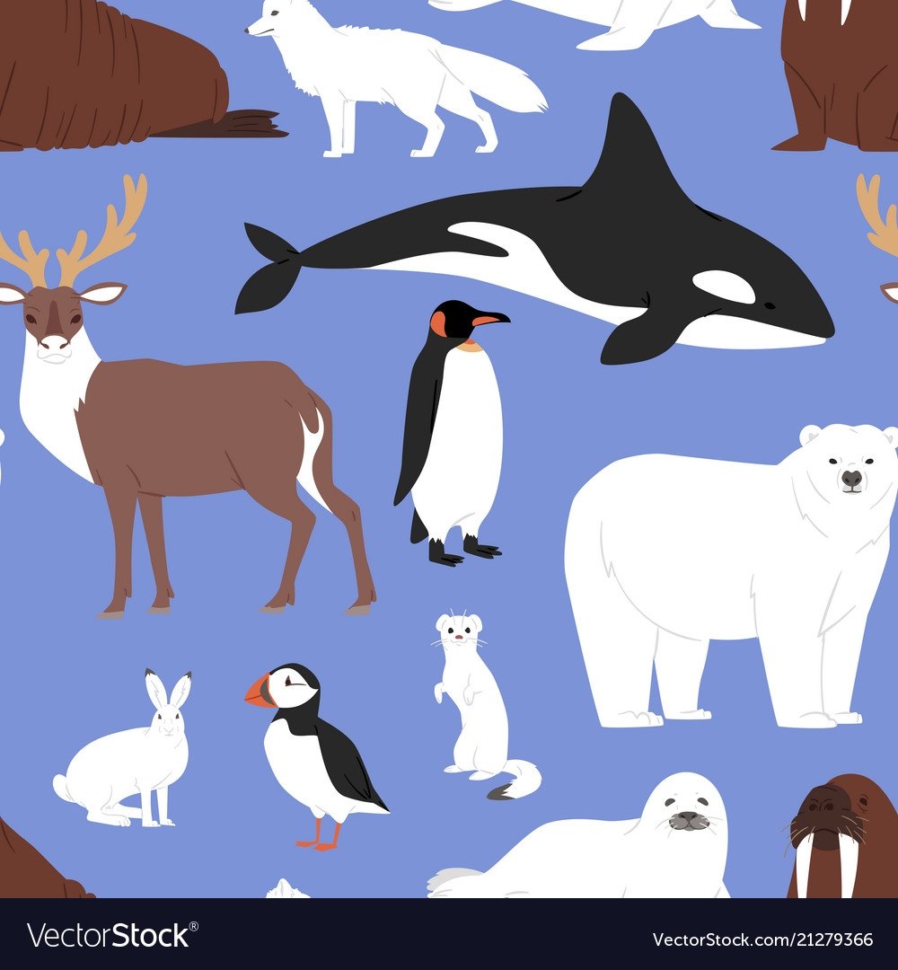 Животные севера для детей дошкольного возраста картинки