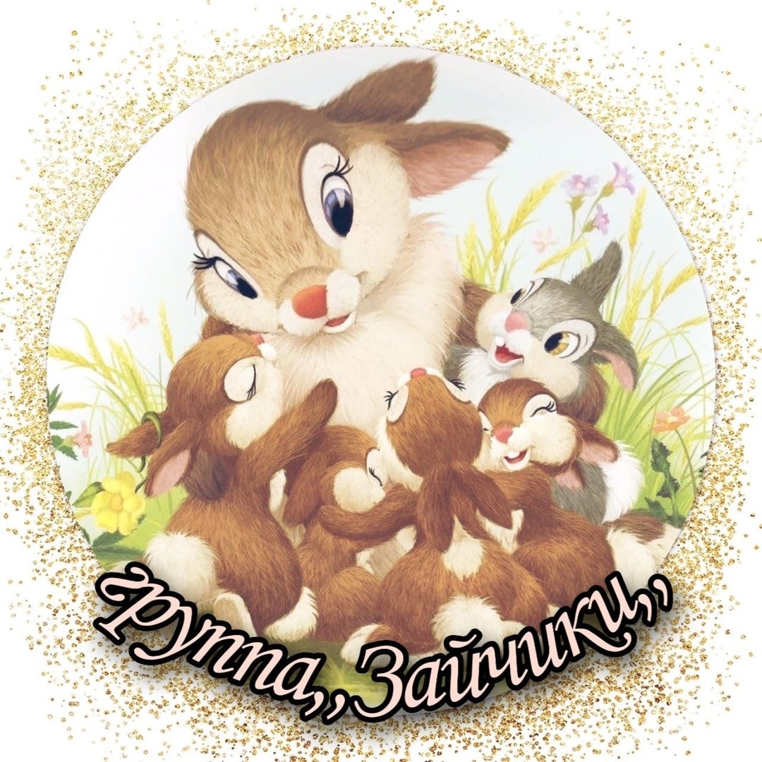 Группа зайчики