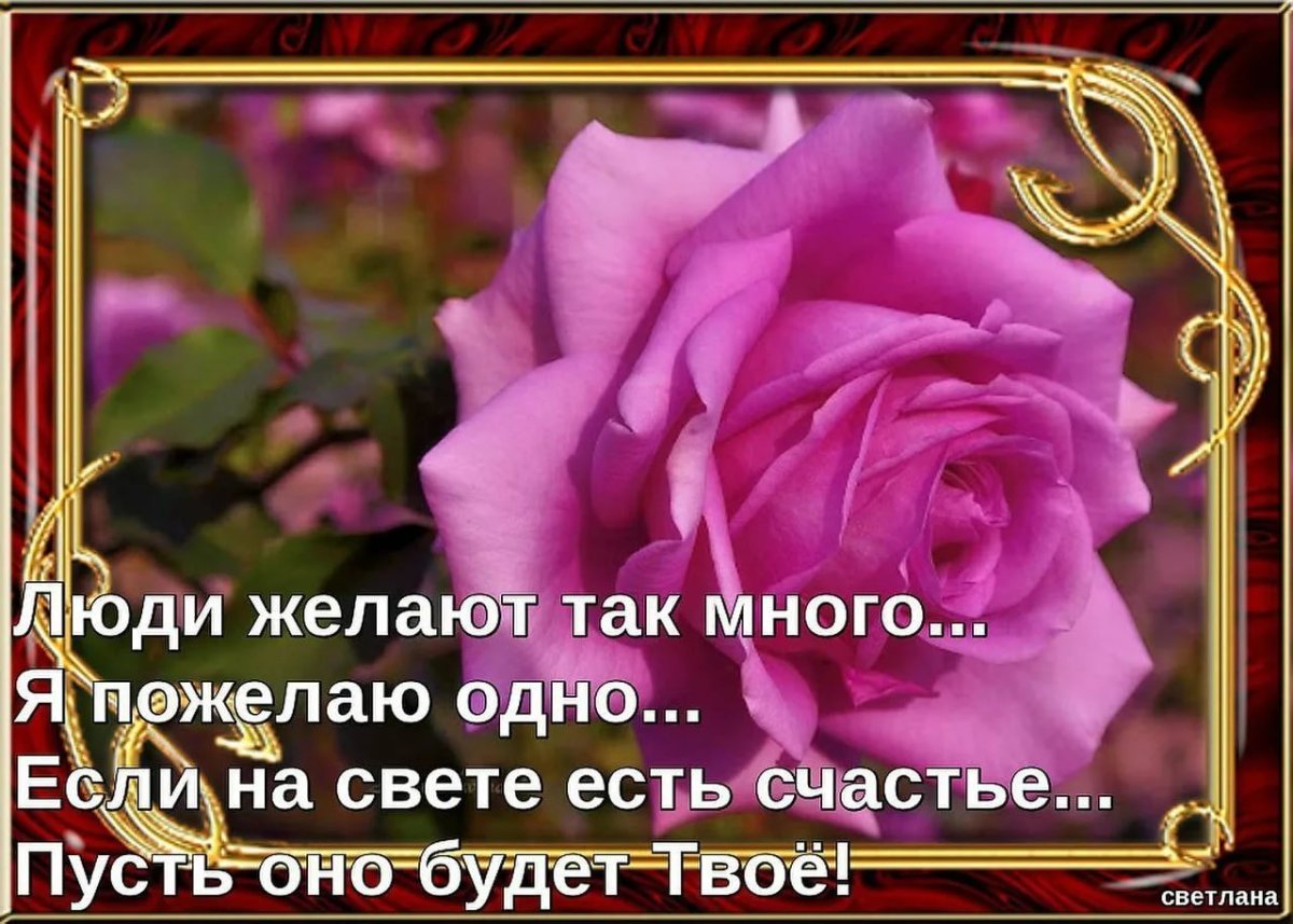 Женского счастья картинки красивые