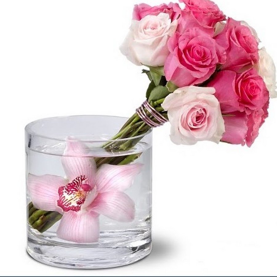 Гифы радости и счастья